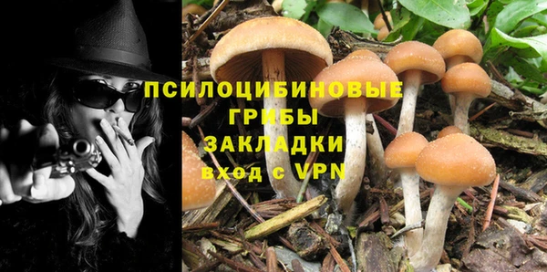 ешки Белокуриха