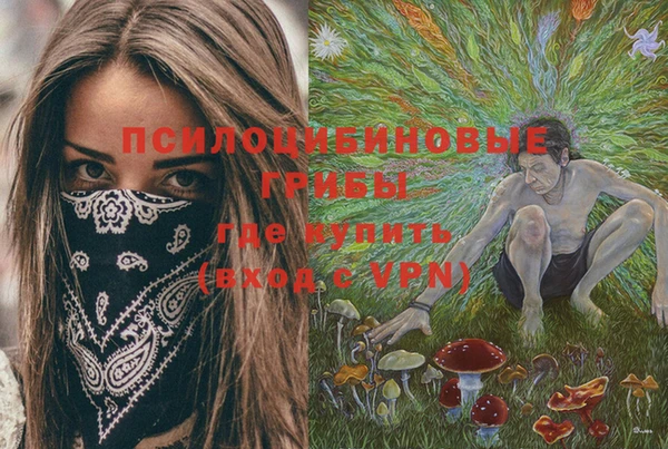 эйфоретик Костерёво