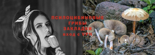 ешки Белокуриха