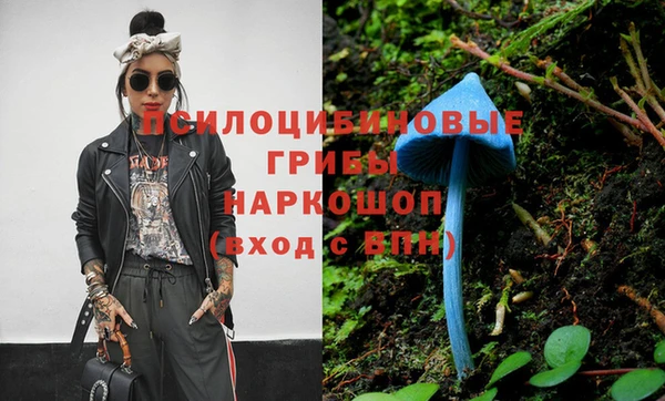 mdpv Беломорск